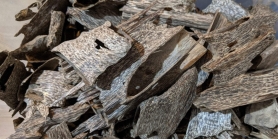 单方檀香精油可以直接涂抹皮肤吗？怎么稀释使用？